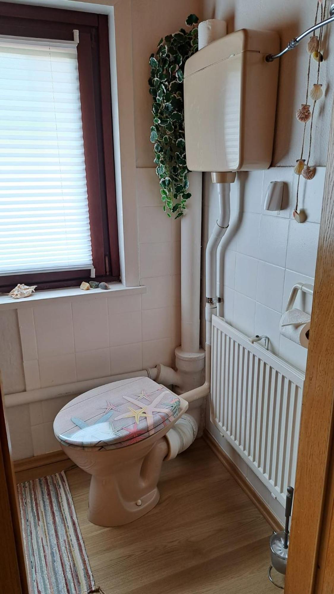 Ferienwohnung Friedrichsruh 布劳恩拉格 外观 照片
