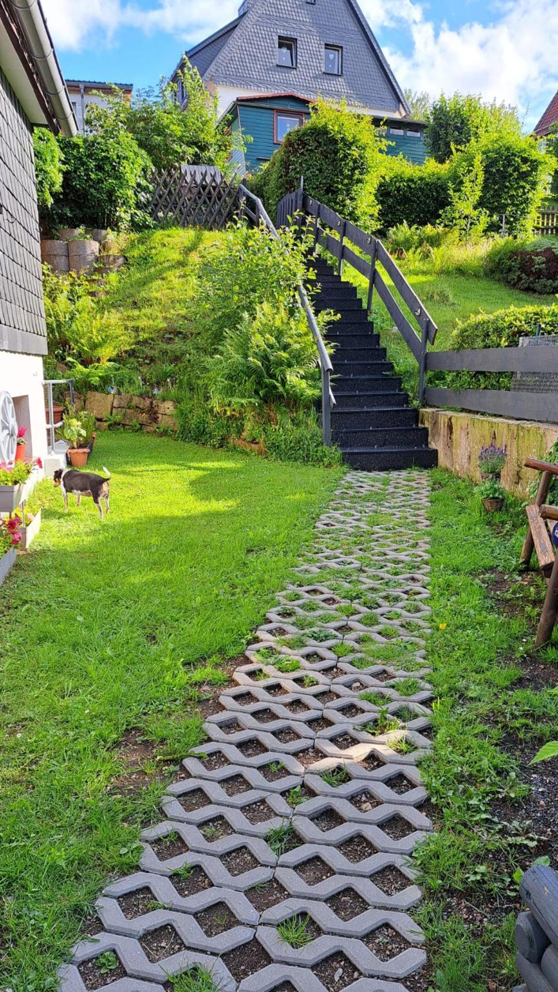 Ferienwohnung Friedrichsruh 布劳恩拉格 外观 照片