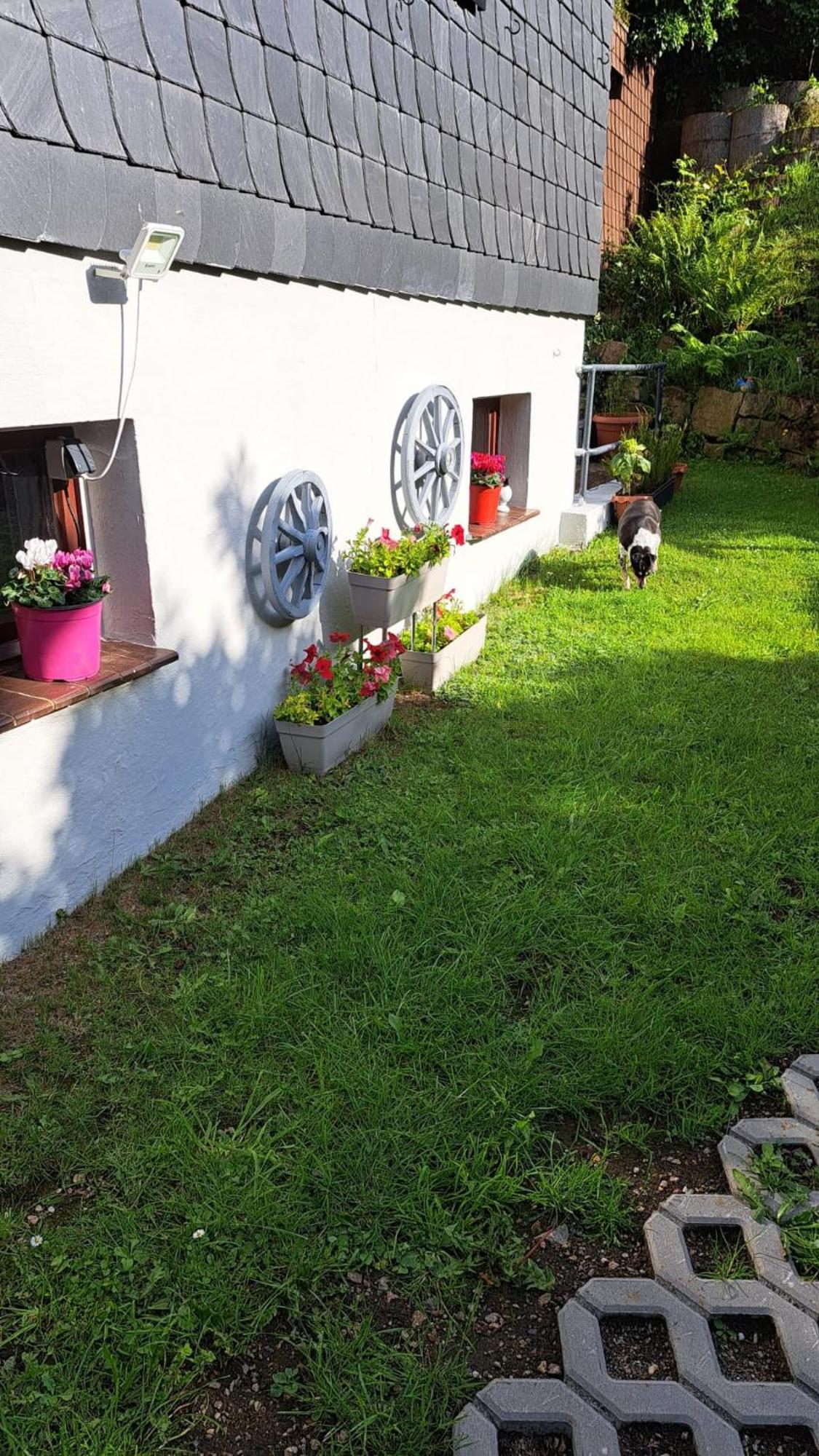 Ferienwohnung Friedrichsruh 布劳恩拉格 外观 照片